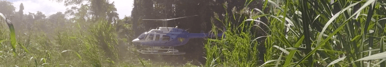 Screen Shot 2016-05-15 at 5.34.10 PM